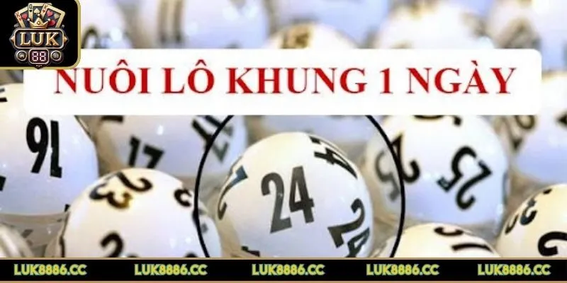 lo-khung-1-ngay-tim-hieu